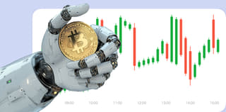 Falcon Vestara cryptocurrency exchange platform dashboard view