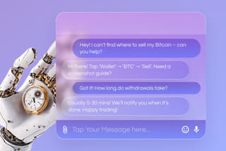 Professional crypto customer support and assistance at Falcon Vestara